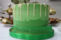Otwarcie Zielonej pracowni